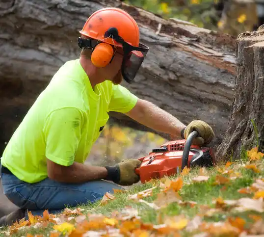 tree services Chalmette